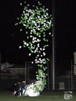 globus final
