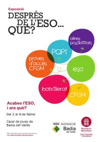 cartell despres de l'eso que