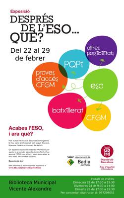 Després de l'ESO què 2012