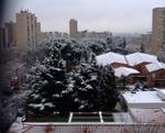 badia nevat