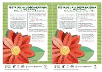 triptic Festa Llengua Materna