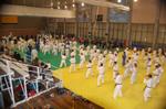 Exhibici&oacute; Judo