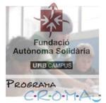 projecte croma