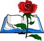 rosa i llibre rosa i llibre