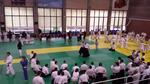 II taikai d'arts marcials