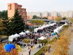 Fira nadalenca del comer&ccedil; al carrer - Vista 2