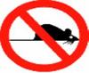 ratas