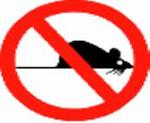 ratas