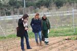 Pla d'ocupaci&oacute; en capacitaci&oacute; agr&agrave;ria