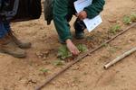 Pla d'ocupaci&oacute; en capacitaci&oacute; agr&agrave;ria