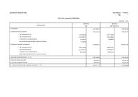 Romanent de tresoreria 2013