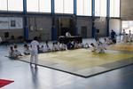 Exhibici&oacute; de judo