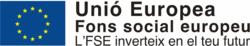 Fons Social Europeu