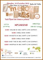 Actuacions 7&egrave; Mercat del Trasto
