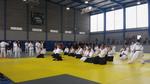 III Taikai solidari d'Arts Marcials 2015