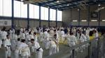 III Taikai solidari d'Arts Marcials 2015