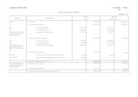 Romanent de Tresoreria Liquidació 2016