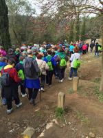 Passejada per a la Gent Gran