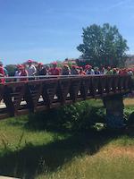 Cloenda de les passejades per a la gent gran 2016-2017