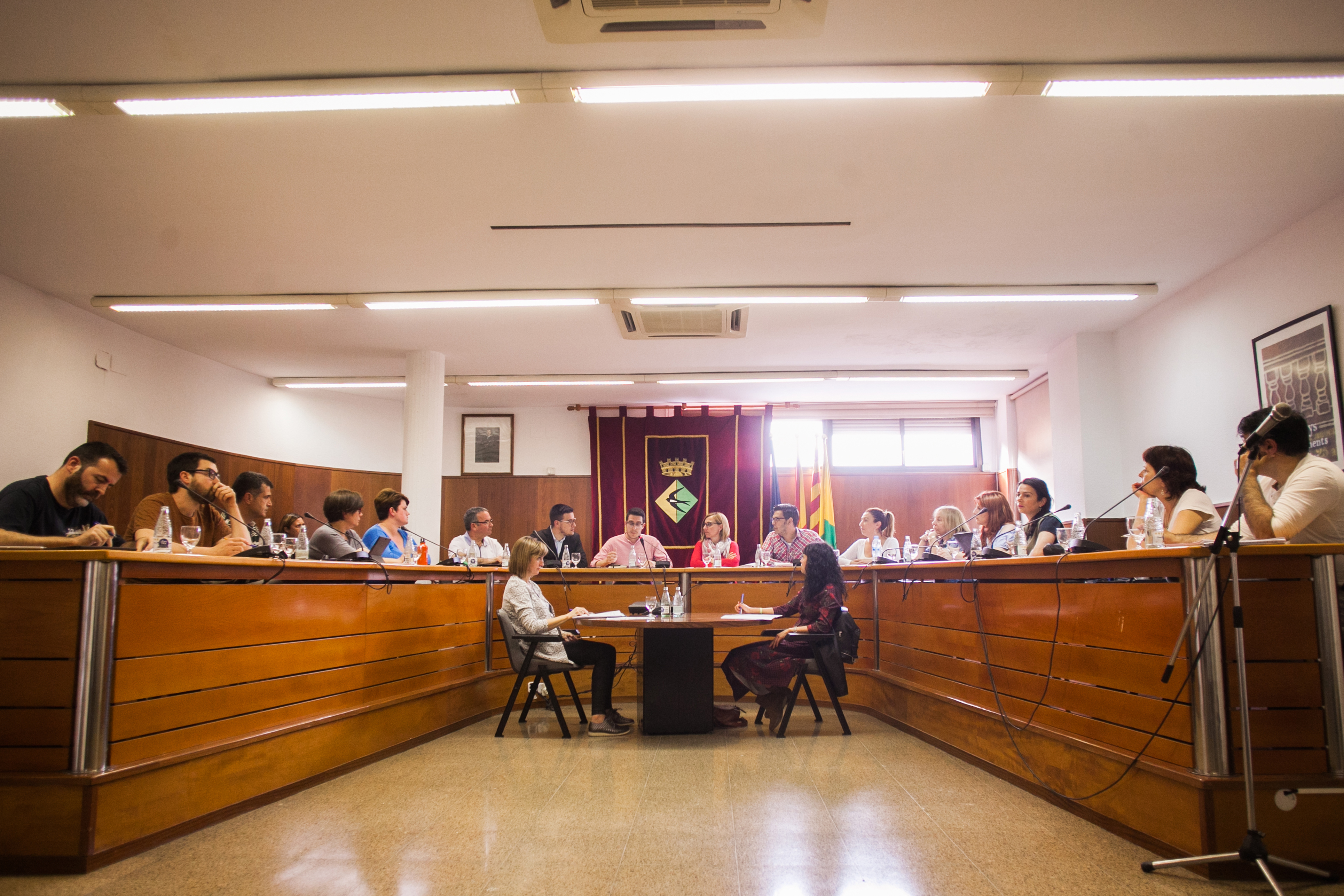Ple ordinari celebrat el 25 d'abril