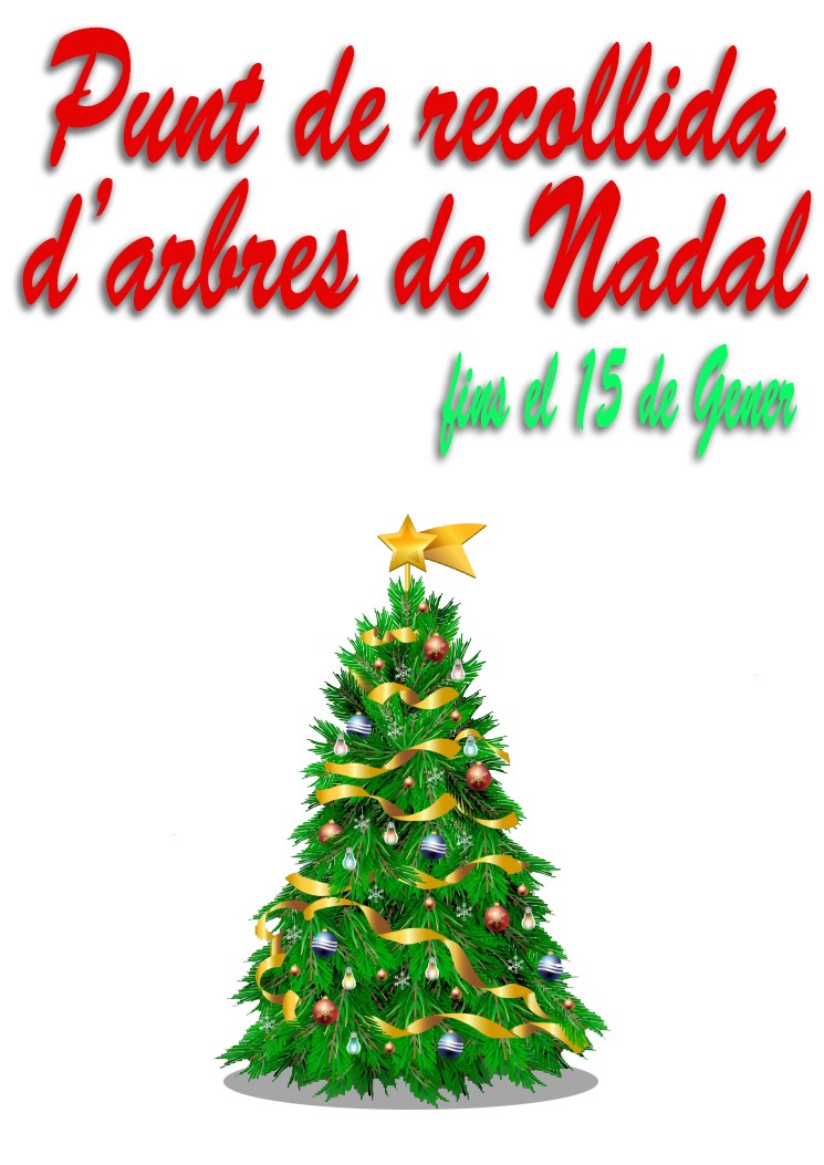 Punt de recollida arbres de nadal