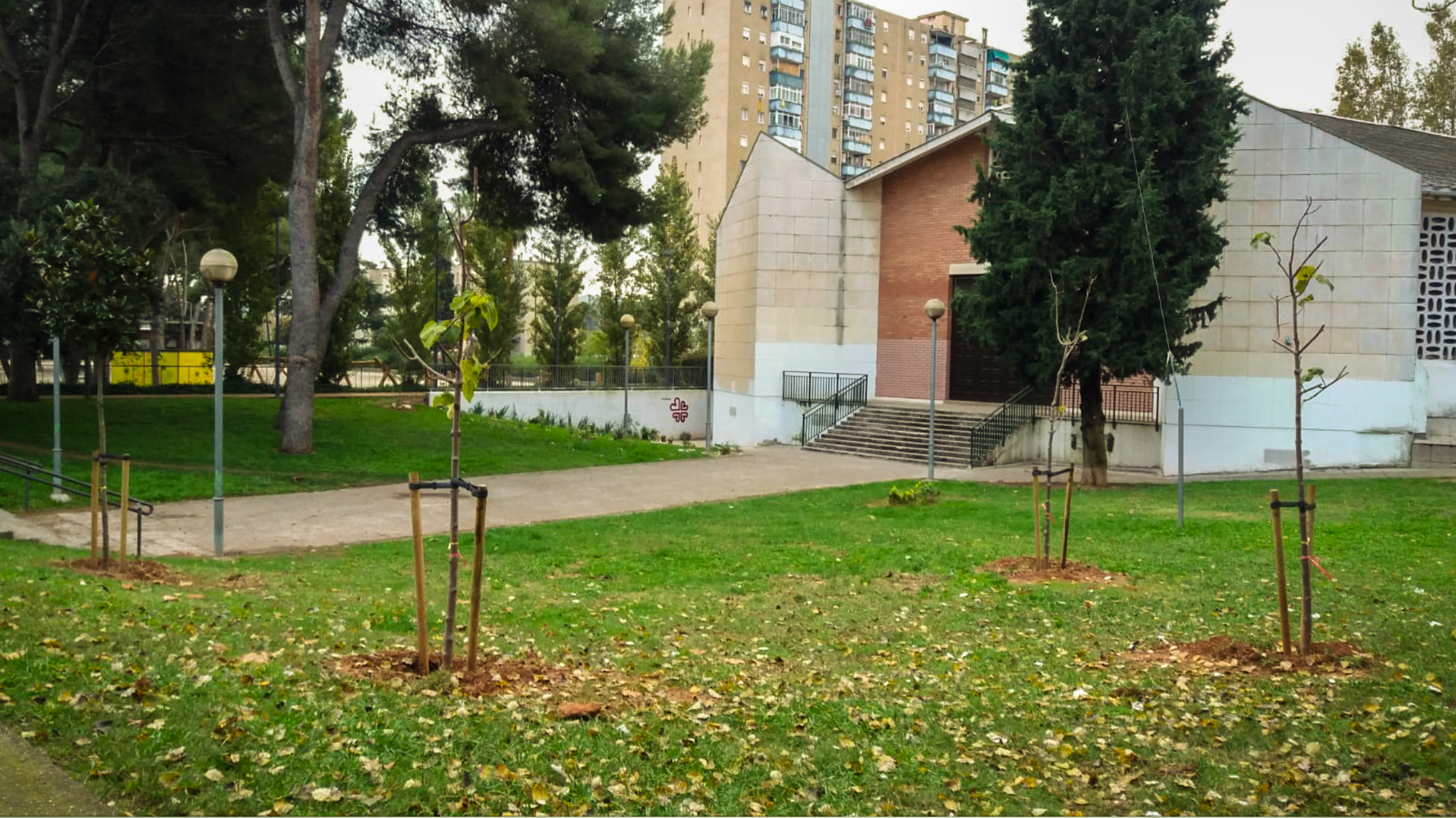 Reposici d'arbres a Badia