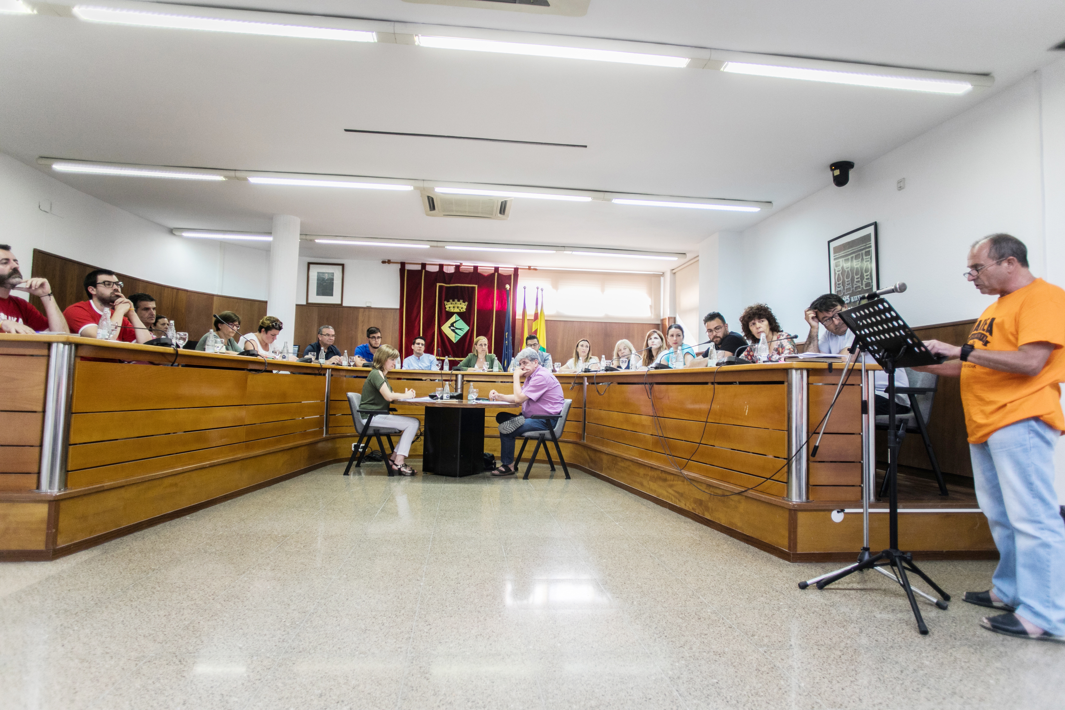 Ple Ordinari de 25 de juny de 2018