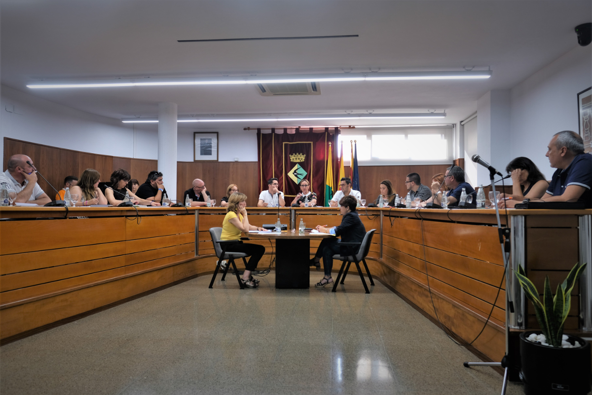 Ple extraordinari de 24 de juliol de 2019