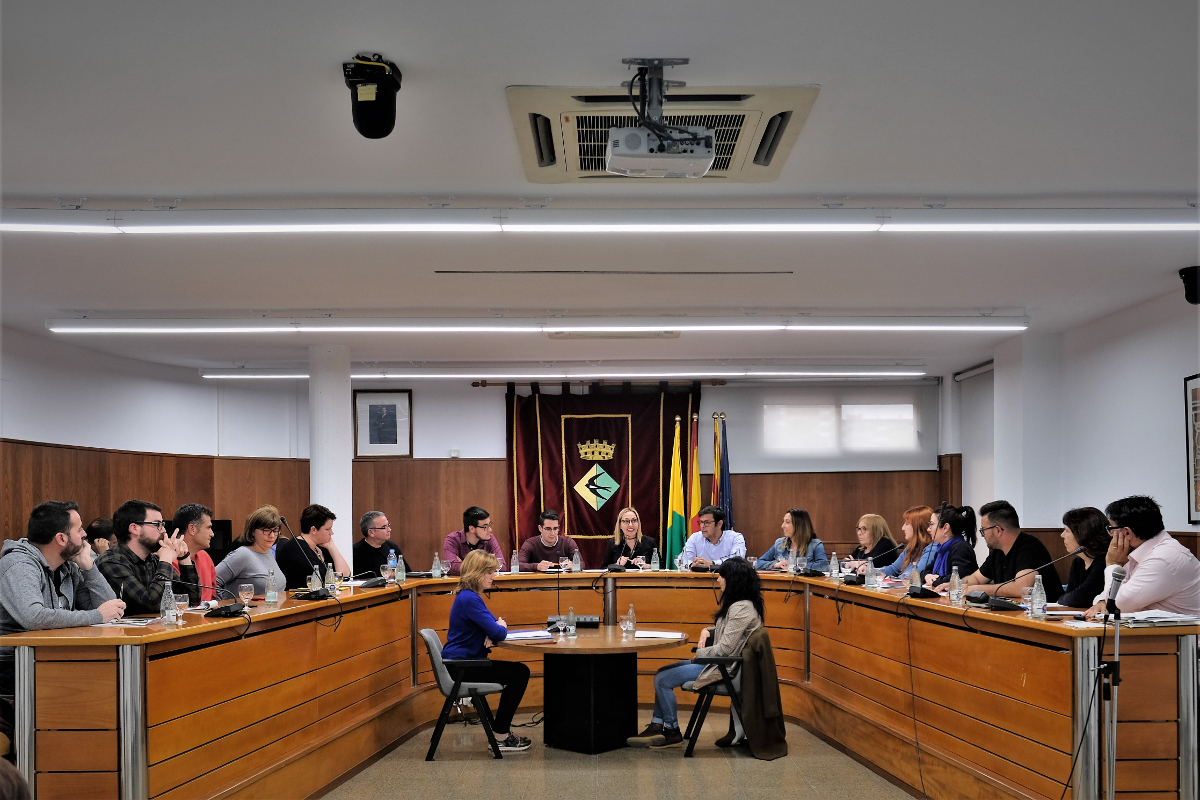 Ple extraordinari d'11 d'abril de 2019