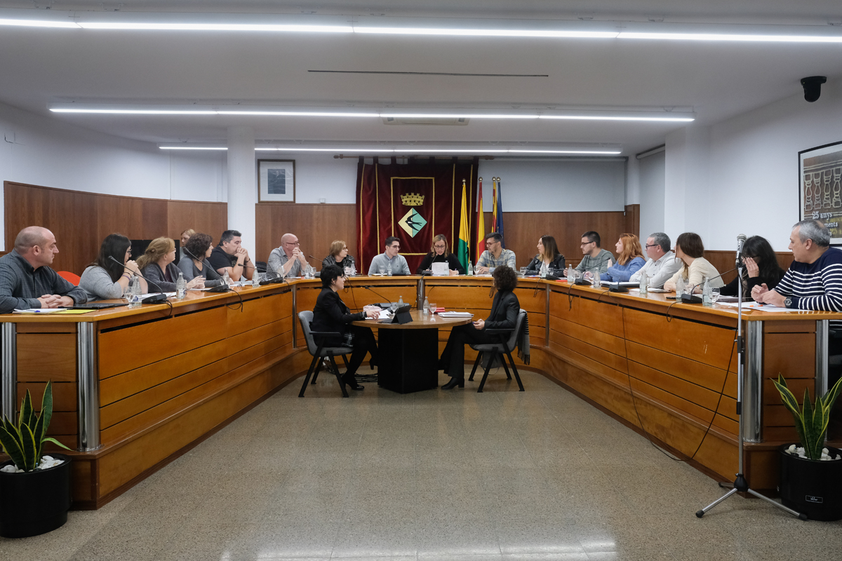 Ple ordinari del 27 de novembre de 2019