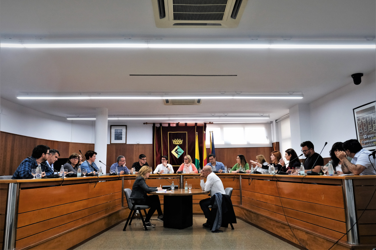 Ple extraordinari de 20 de maig de 2019