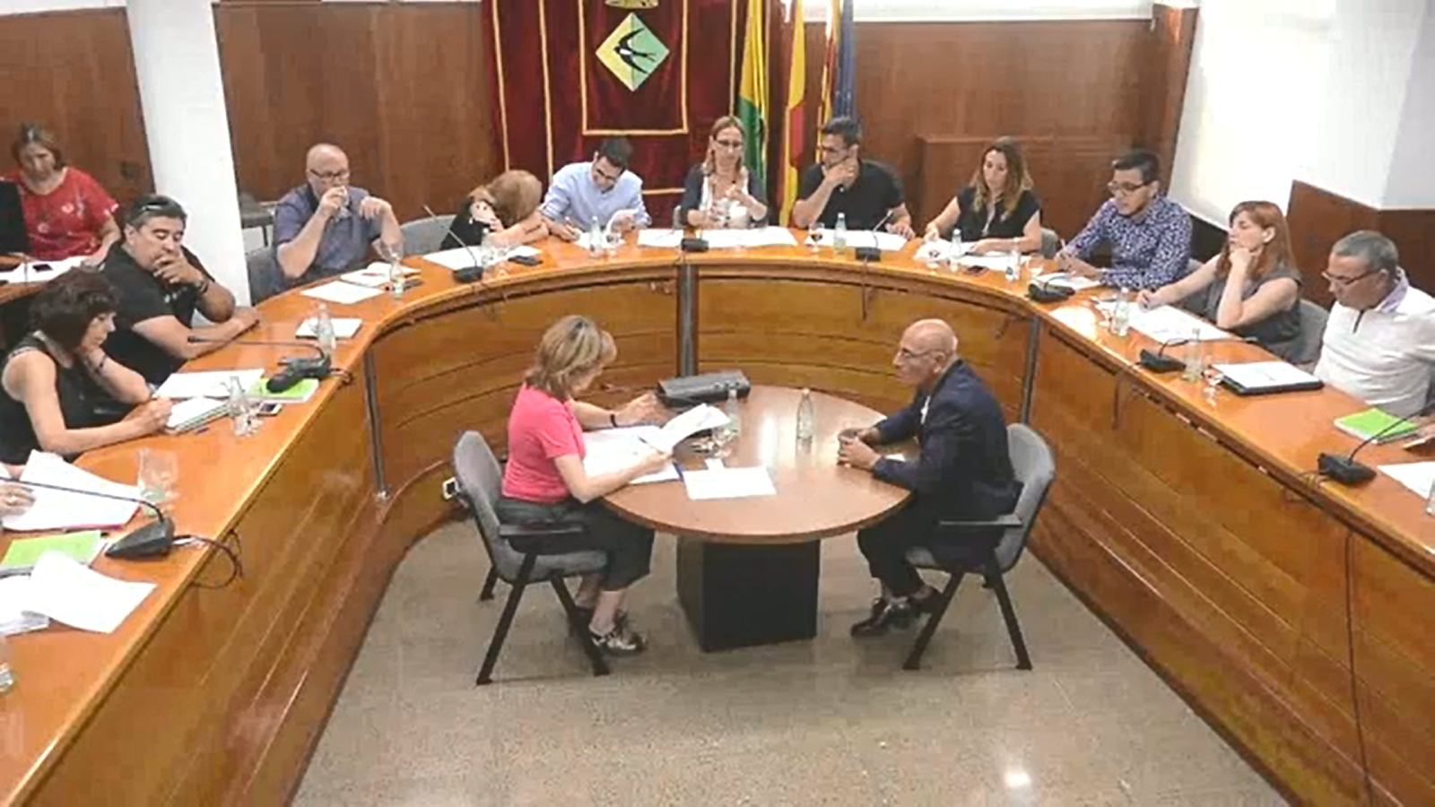 Ple extraordinari de 3 de juliol de 2019