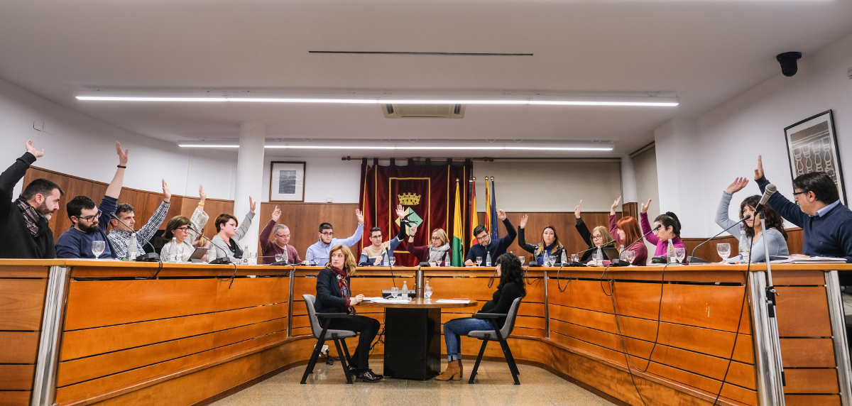 Ple ordinari de gener de 2019