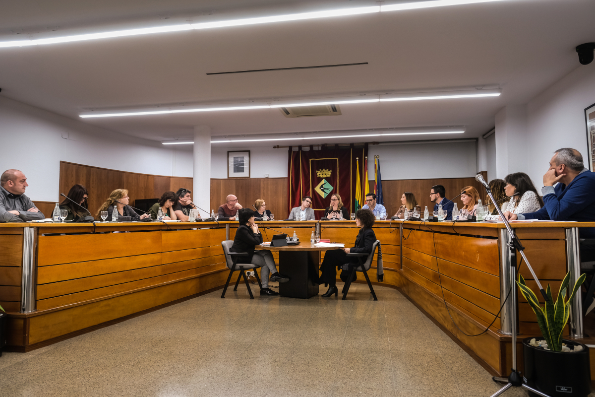 Ple ordinari del 29 de gener de 2020