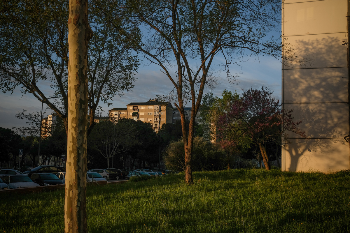 L'Ajuntament refora les accions contra els rosegadors durant els mesos d'agost i setembre