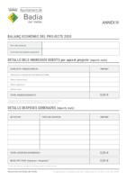 Annex IV - Balanç econòmic del projecte