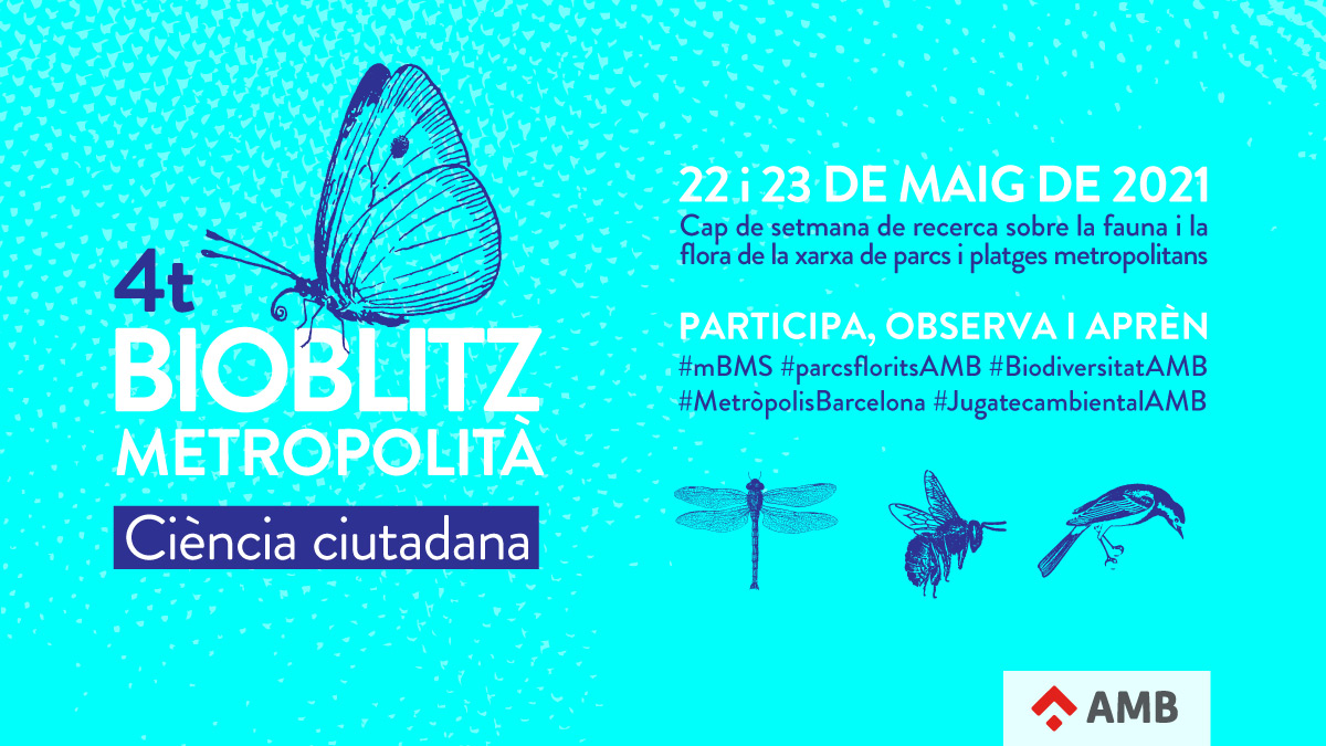 Vols conixer la flora i la fauna del Parc de Joan Oliver? Participa en el Bioblitz Metropolit, aquest cap de setmana