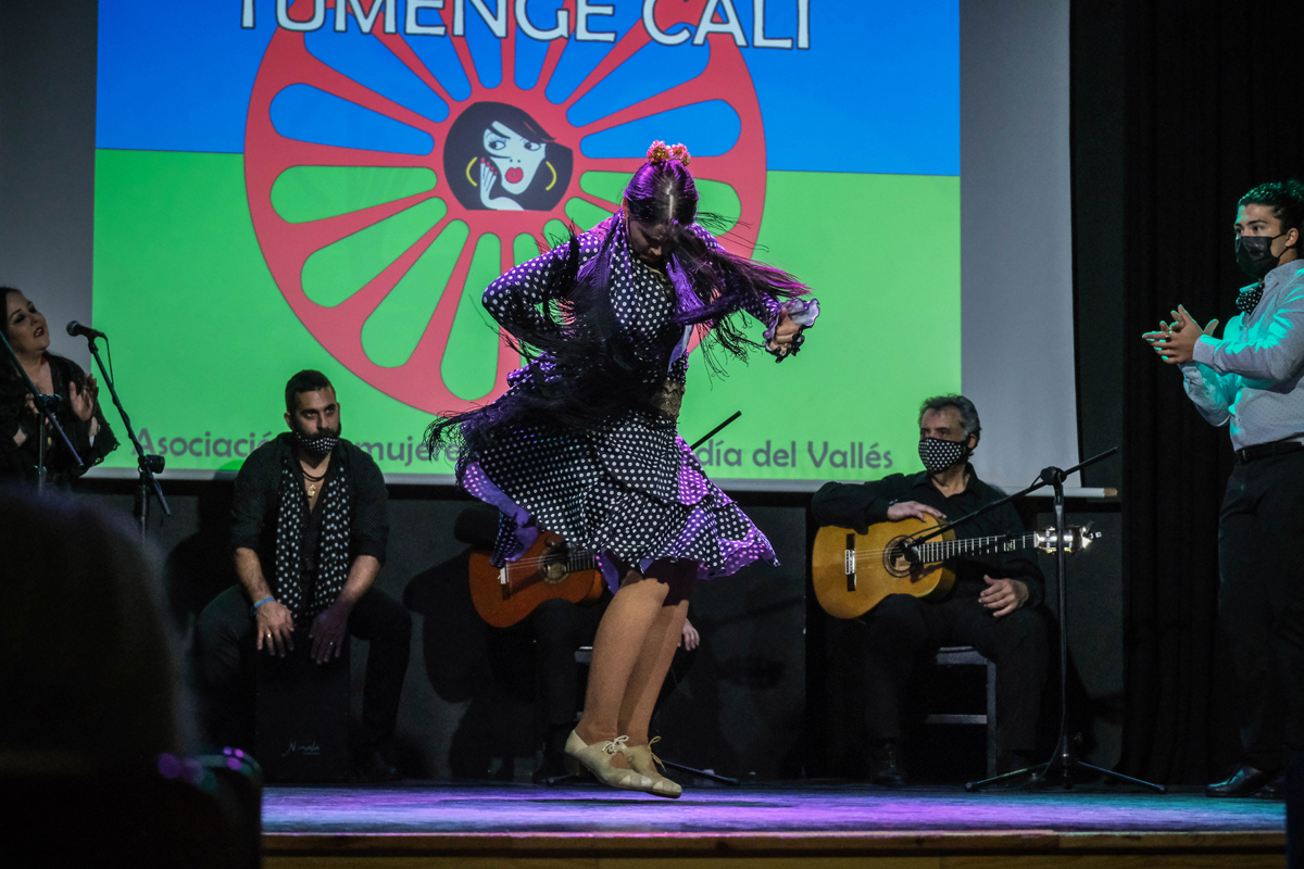 Commemoraci del Dia Internacional del Poble Gitano