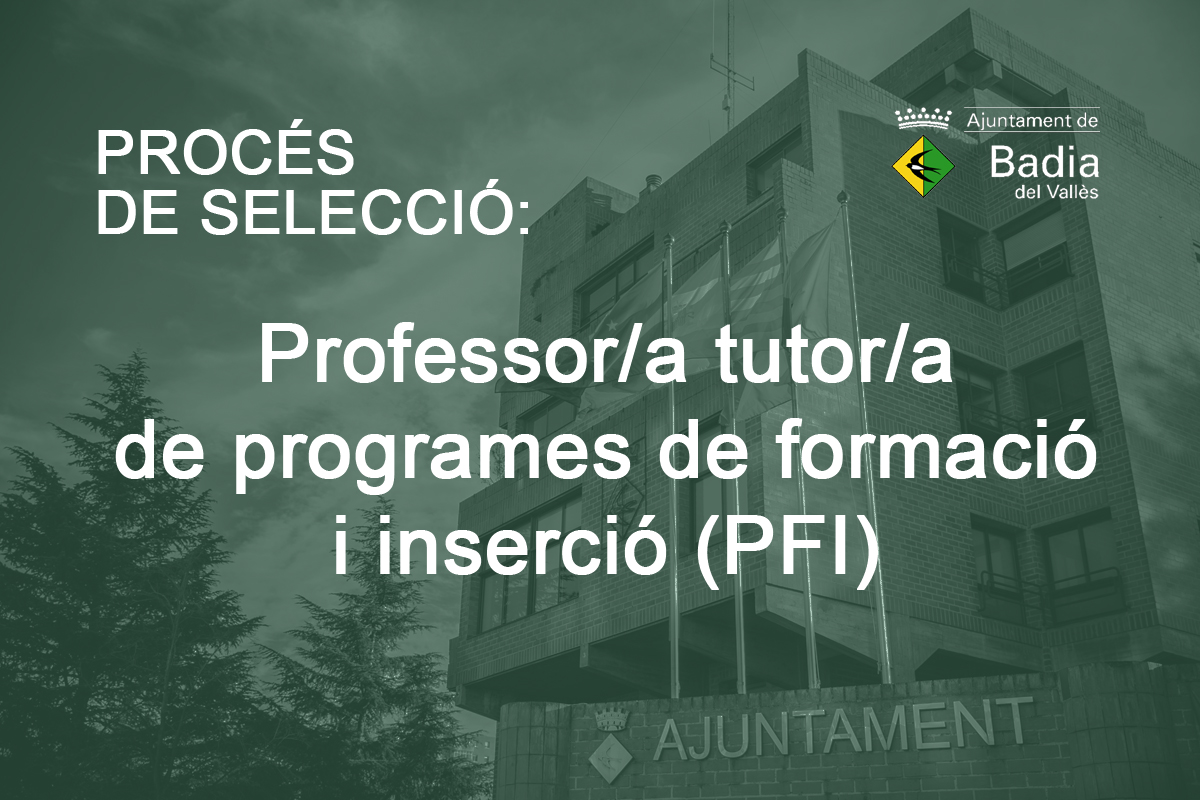 Procs selectiu dun professor/a tutor/a per a docncia i tutoria de programes de formaci i inserci (PFI)