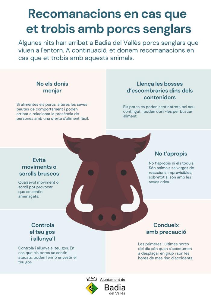 Recomanacions en cas que et trobis amb porcs senglars