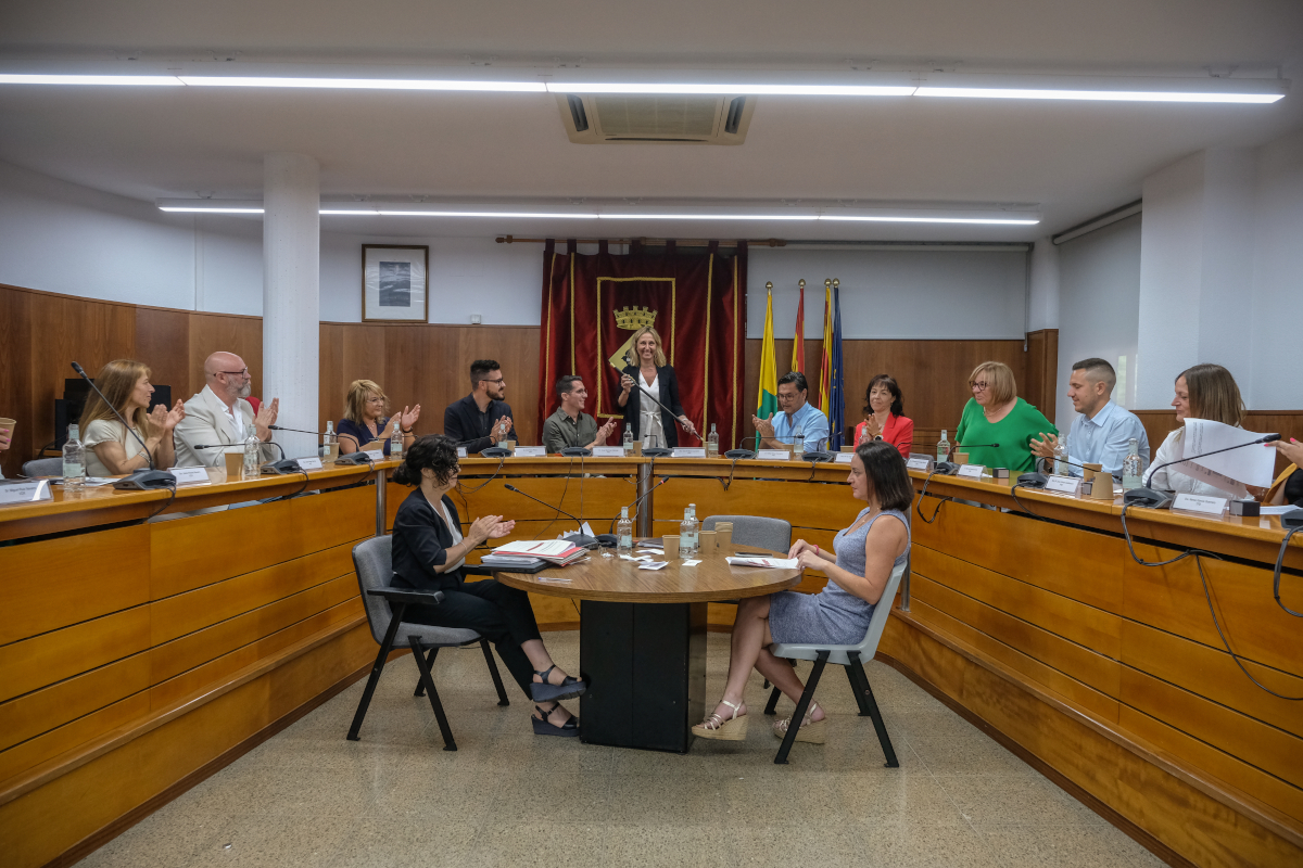 Ple constitutiu