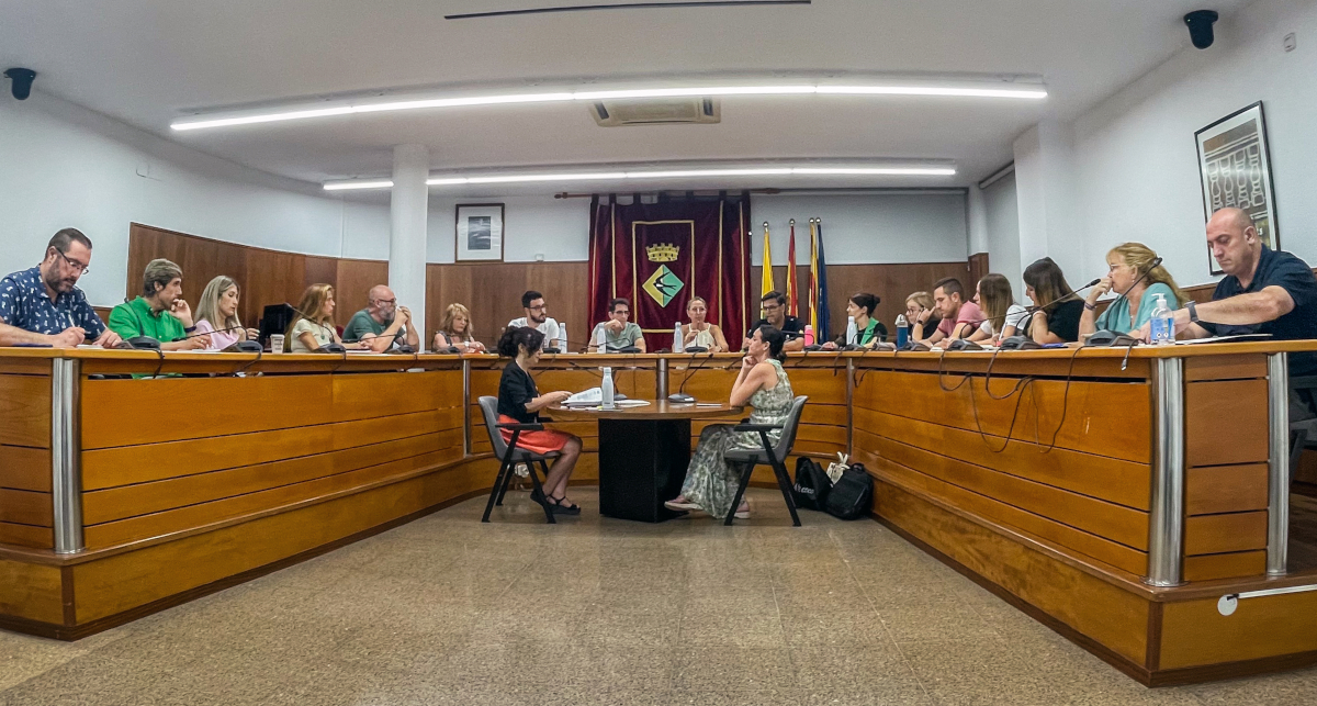 Ple extraordinari de juliol