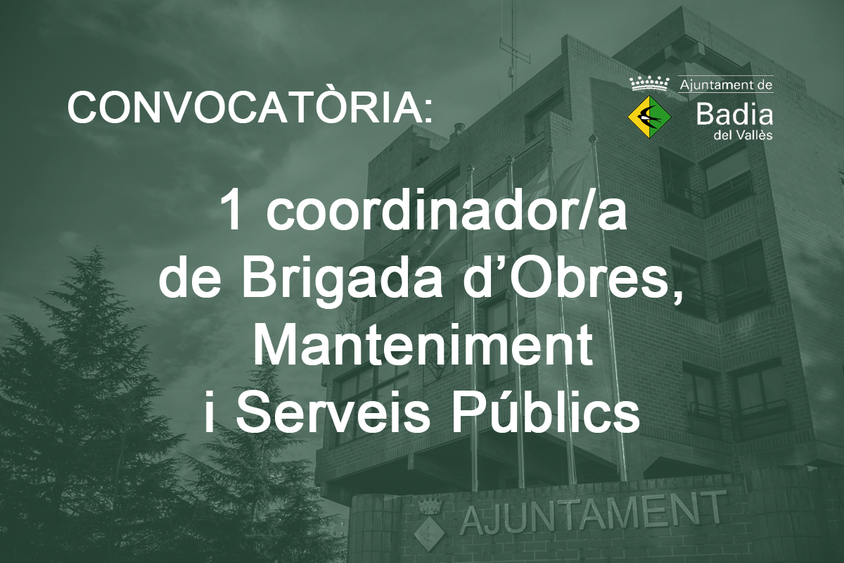 Procs de selecci de coordinador/a de Brigada d'Obres