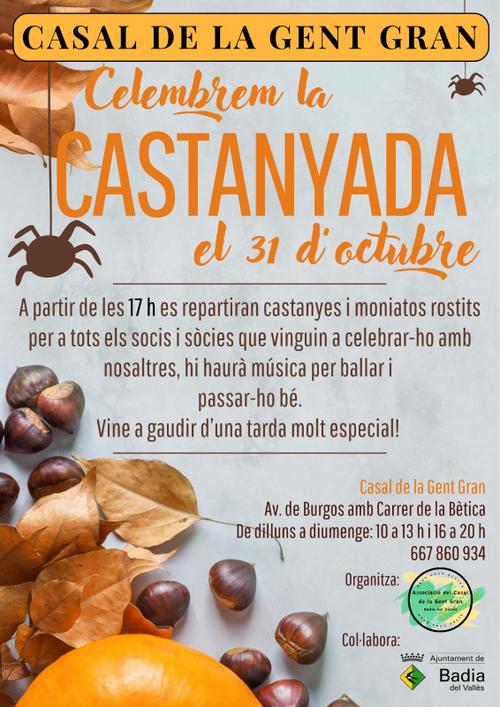 Cartell de l'activitat