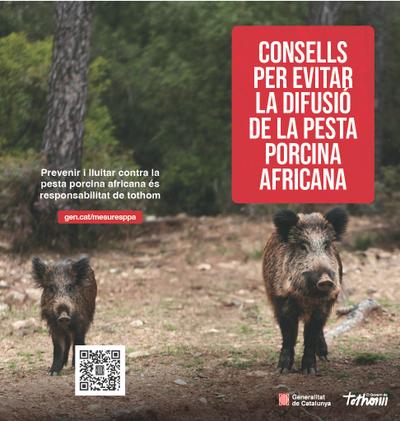 Informaci&oacute; sobre la pesta porcina