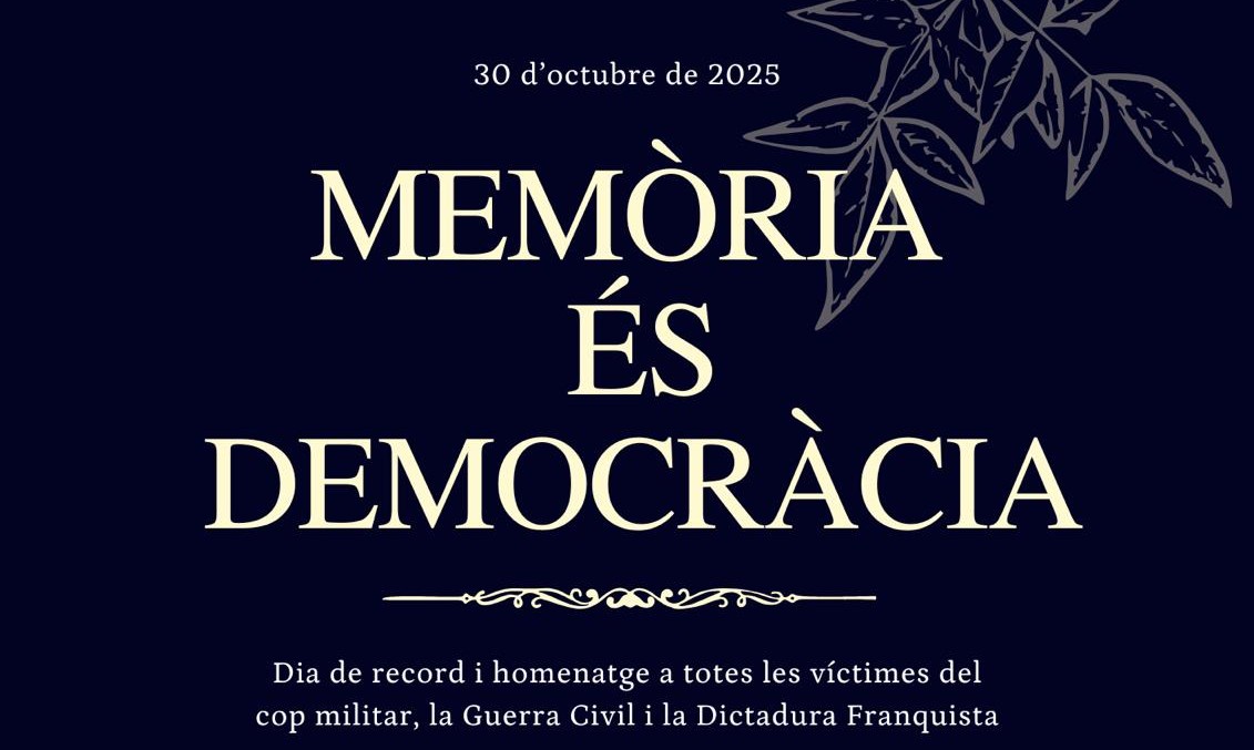 Imatge de l'activitat