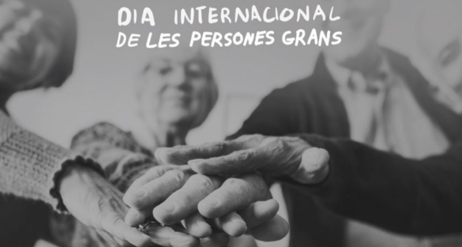 Imatge de l'activitat