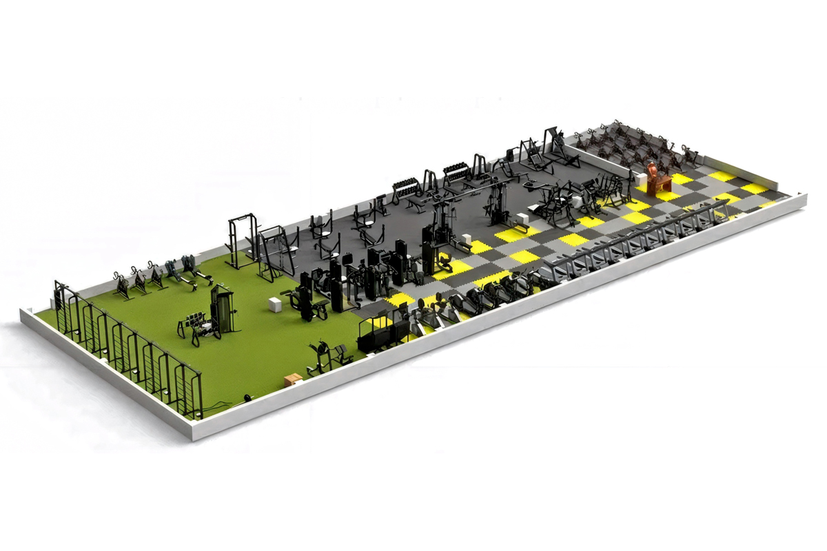 Disseny de la nova sala de musculaci� del Complex Esportiu