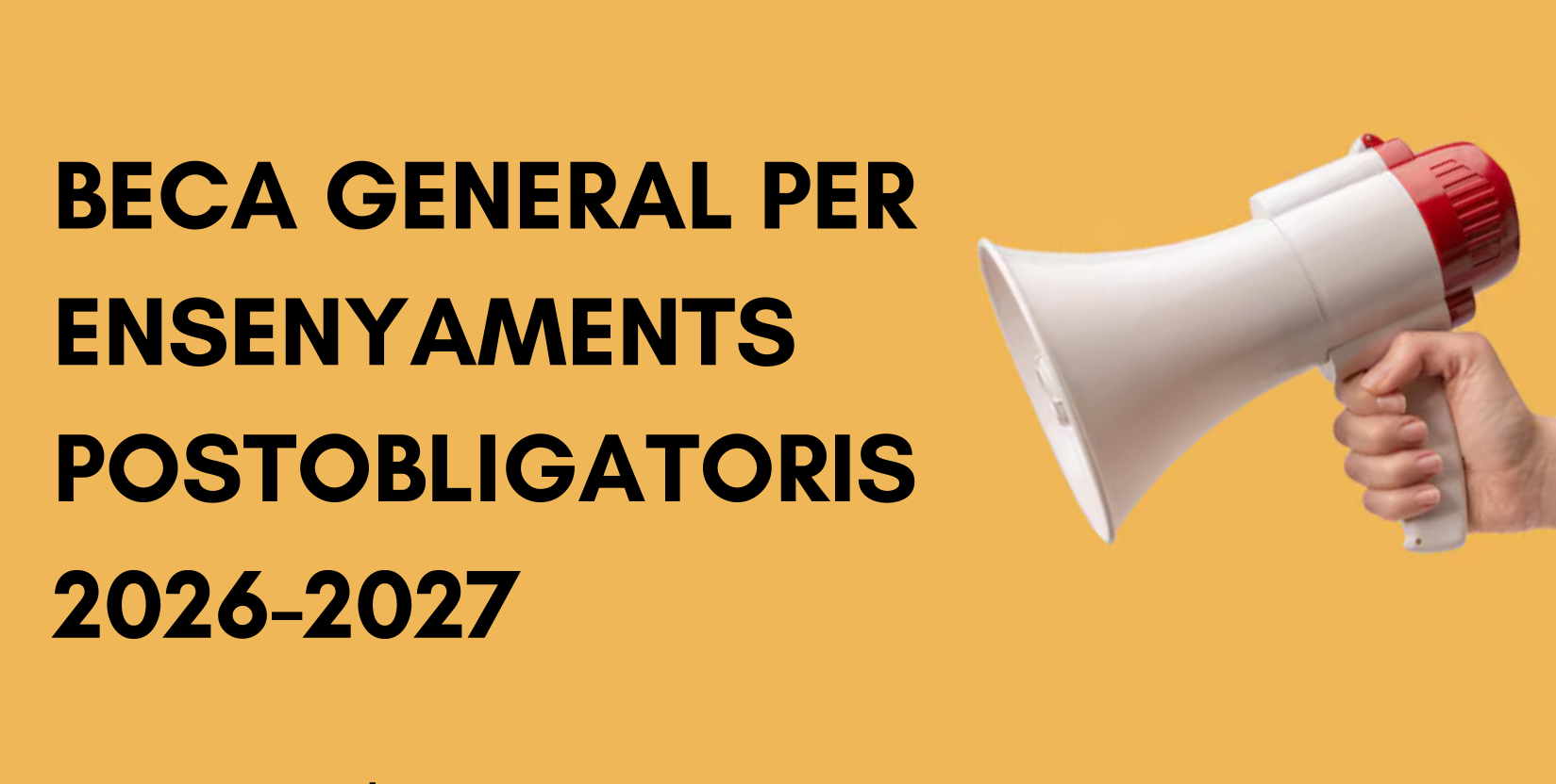 Imatge de l'activitat