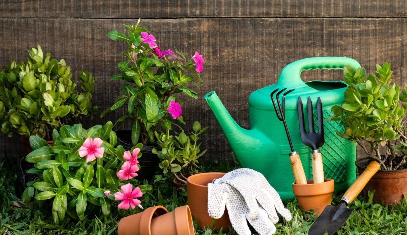 Imatge de l'activitat